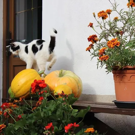 Christine By Interhome * Klein Gastrose