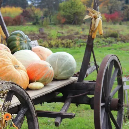 Christine By Interhome Klein Gastrose