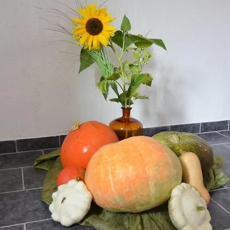 Christine By Interhome Holiday home Klein Gastrose