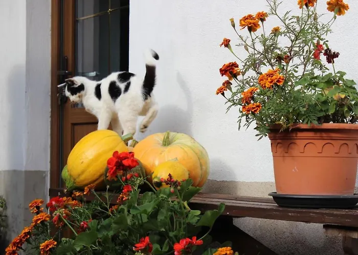 Christine By Interhome * Klein Gastrose