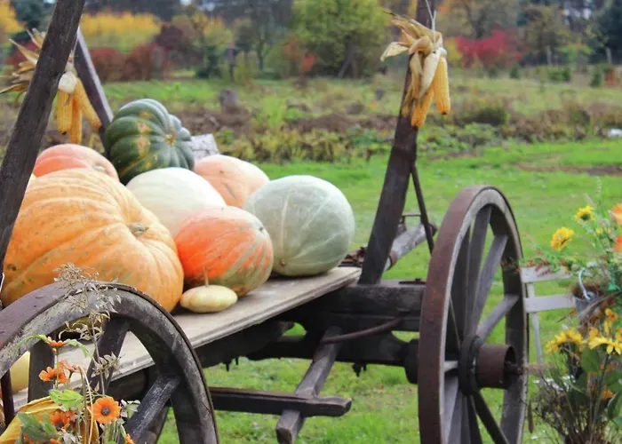 Christine By Interhome Klein Gastrose